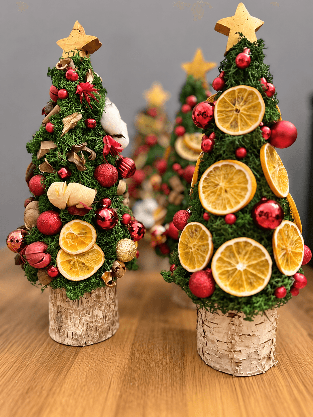Bradul Citrus
